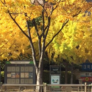 wa-directory-28