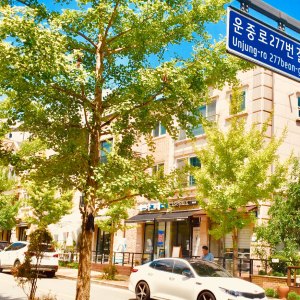 wa-street-06