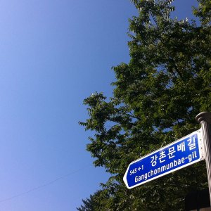 wa-street-08