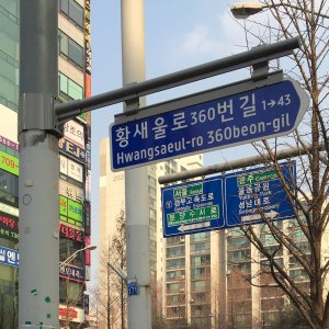 wa-street-16