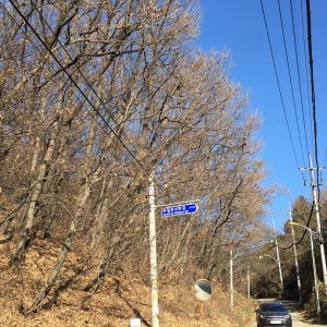 wa-street-44