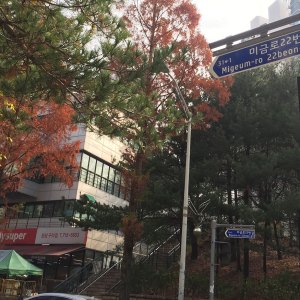 wa-street-45