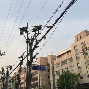 wa-street-68